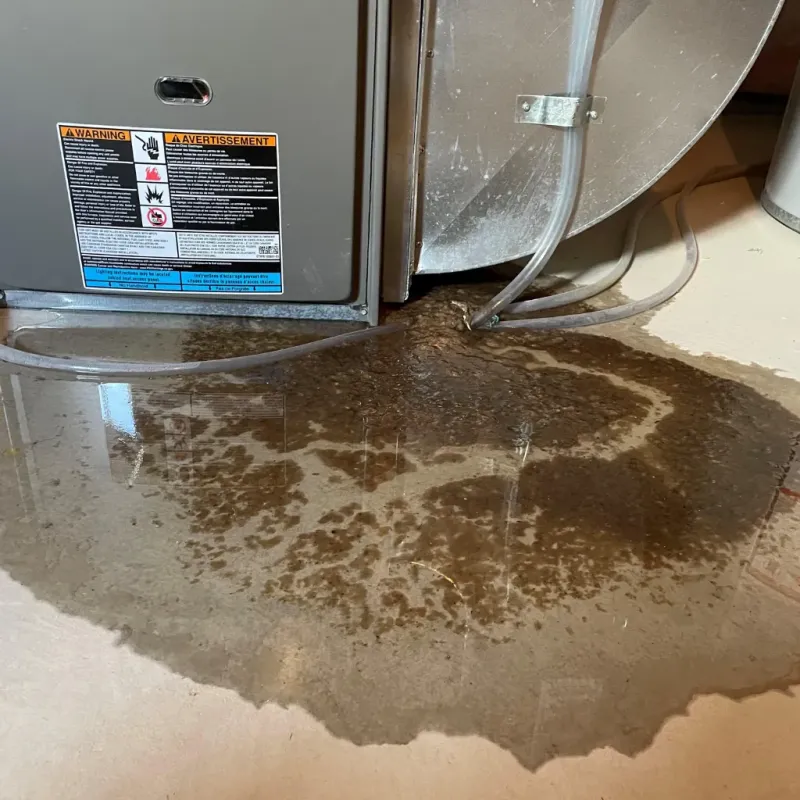 Appliance Leak Cleanup in Anoka County, MN